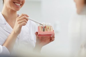 dental professional showing a patient a dental implant model